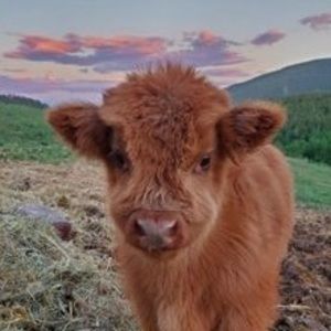 Meet your Posher, Troy